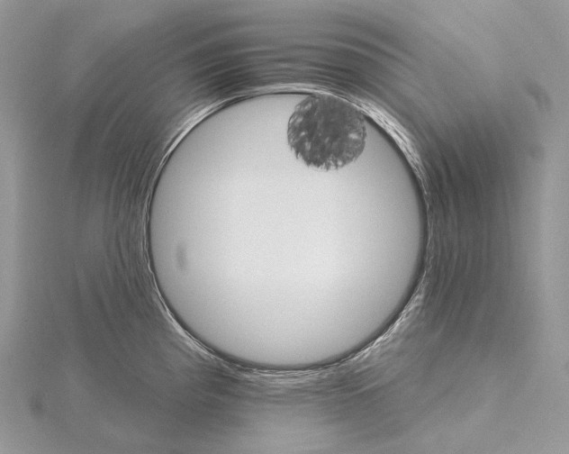 X0000115651193200912081118