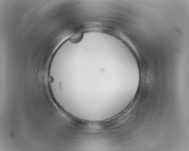 X0000115651194200912081118