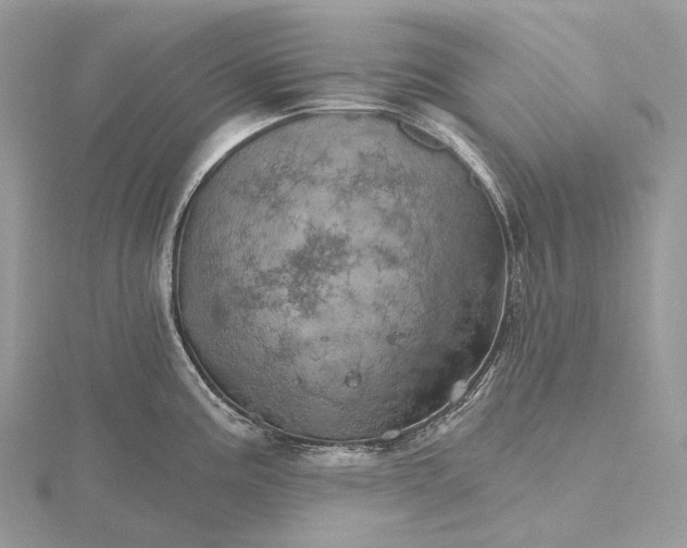 X0000115651195200912081118