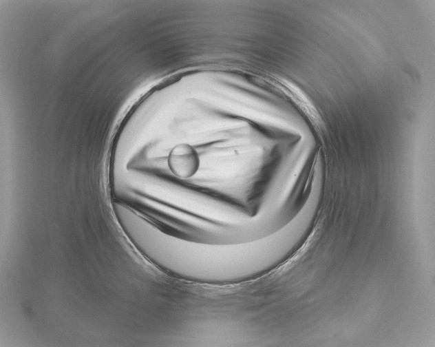 X0000115651196200912081118