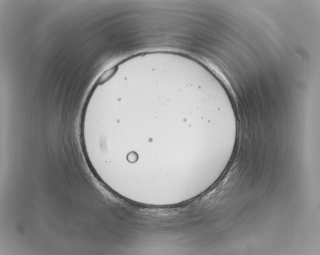 X0000115651197200912081118