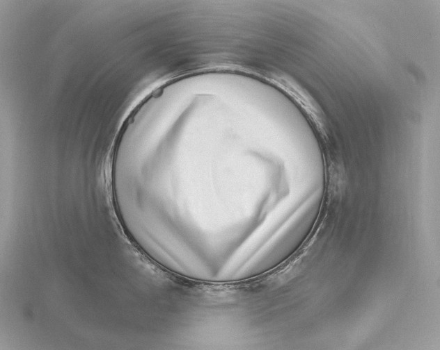 X0000115651198200912081118