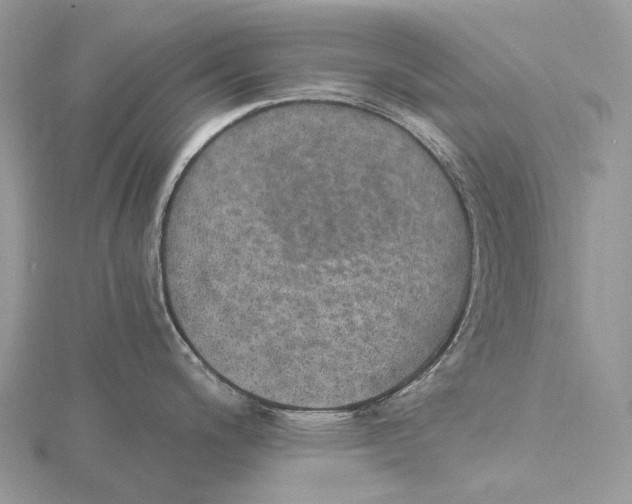 X0000115651200200912081118