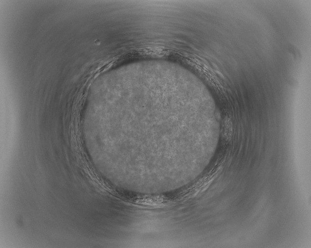 X0000115651201200912081118