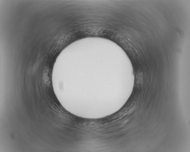 X0000115651202200912081118