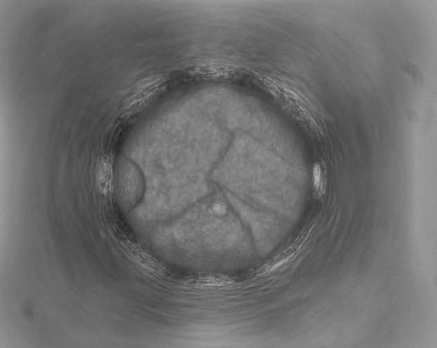 X0000115651203200912081118