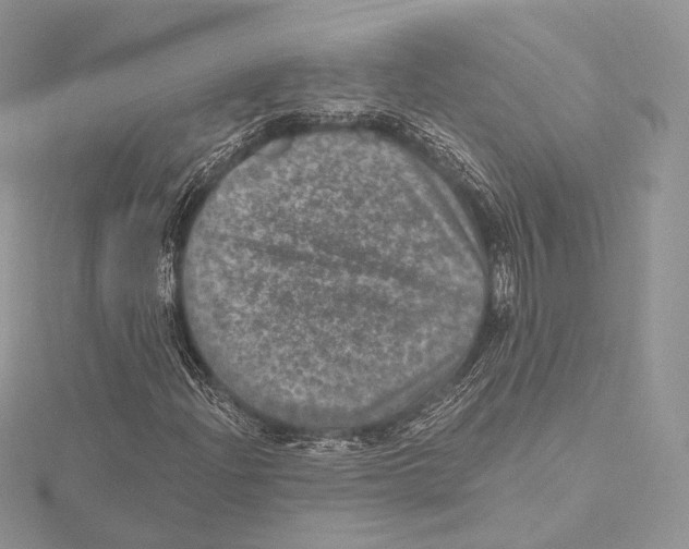 X0000115651204200912081118