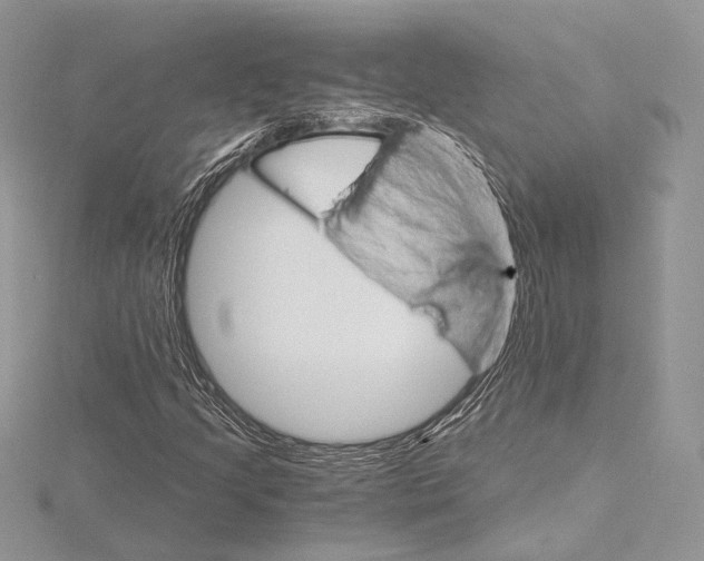 X0000115651205200912081118