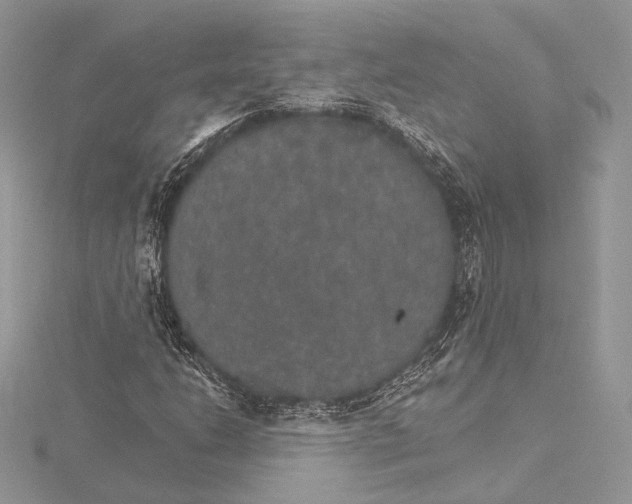 X0000115651206200912081118