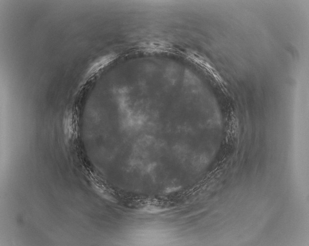 X0000115651207200912081118