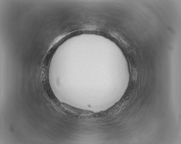 X0000115651208200912081118