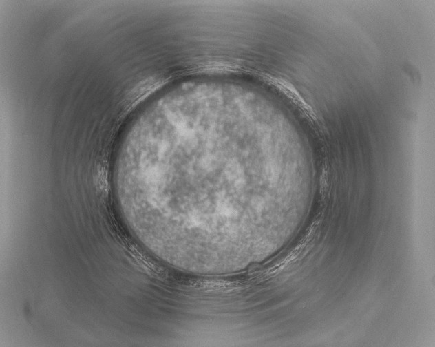 X0000115651209200912081118