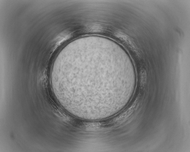 X0000115651210200912081118