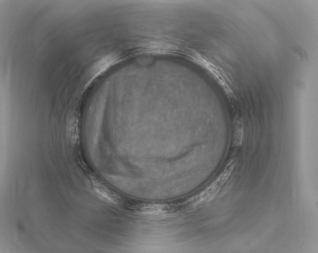 X0000115651211200912081118