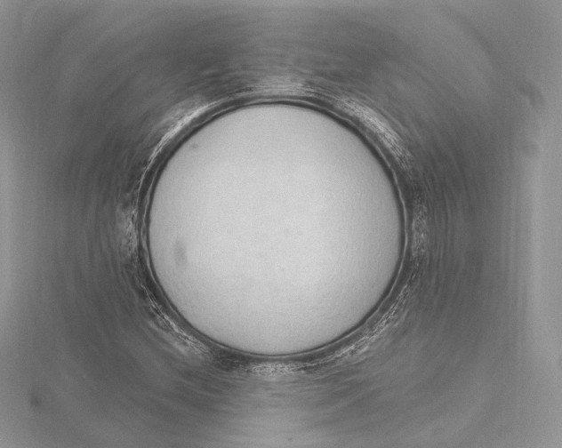 X0000115651212200912081118