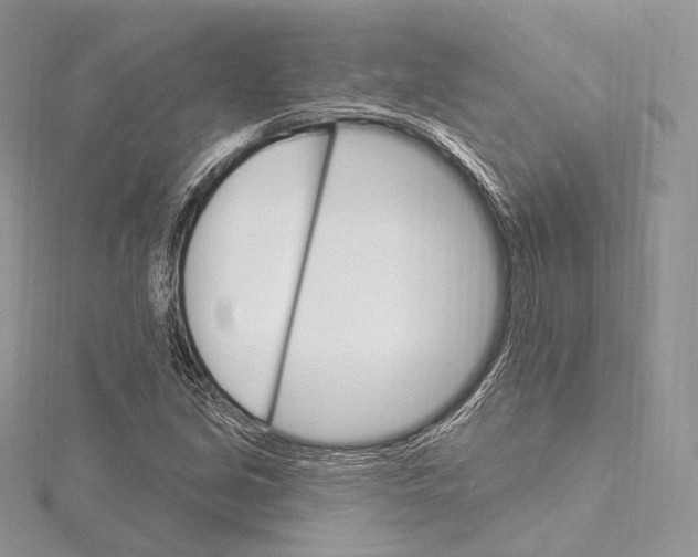 X0000115651213200912081118