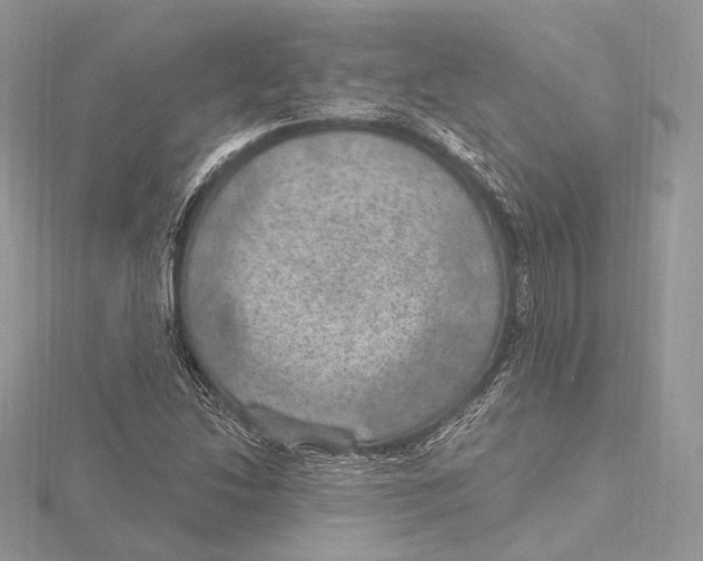 X0000115651214200912081118