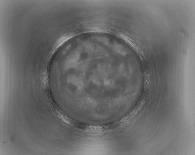 X0000115651215200912081118