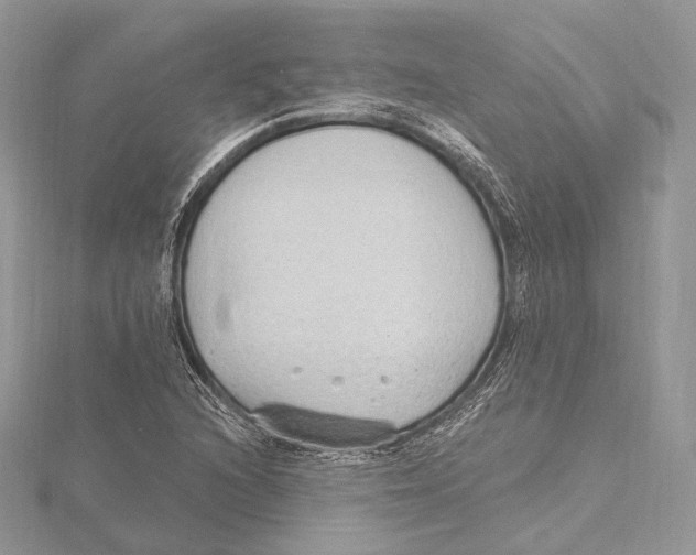 X0000115651216200912081118