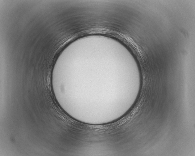 X0000115651217200912081118