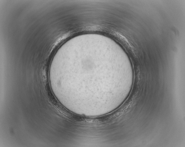 X0000115651218200912081118