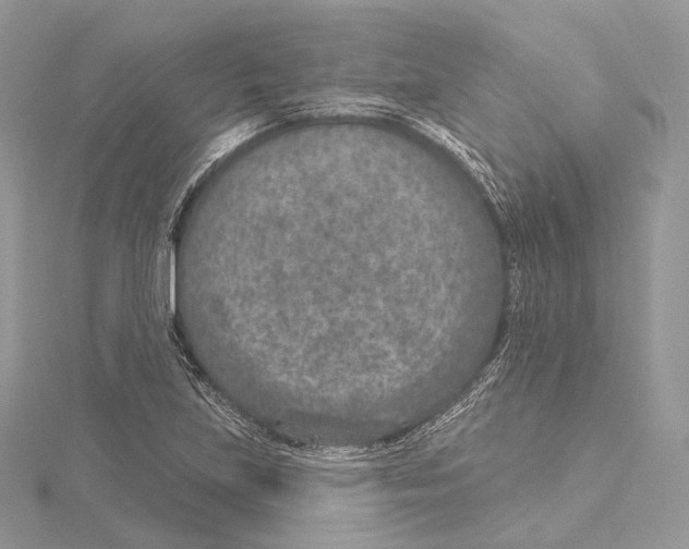 X0000115651219200912081118