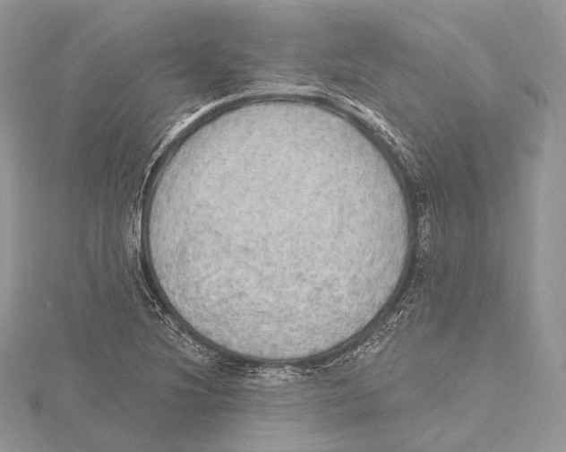 X0000115651220200912081118