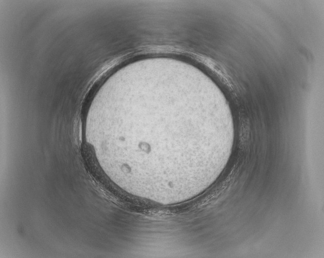 X0000115651221200912081118