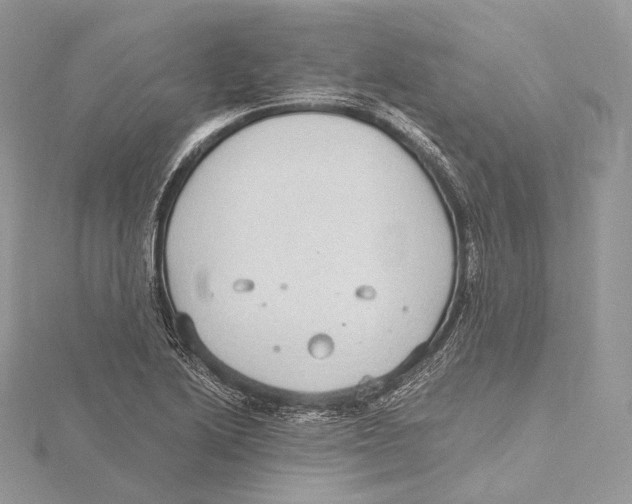 X0000115651222200912081118