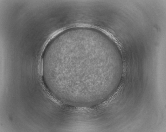 X0000115651223200912081118