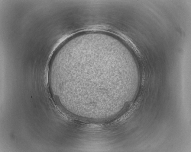 X0000115651224200912081118