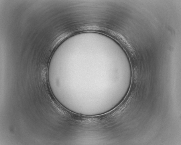 X0000115651225200912081118