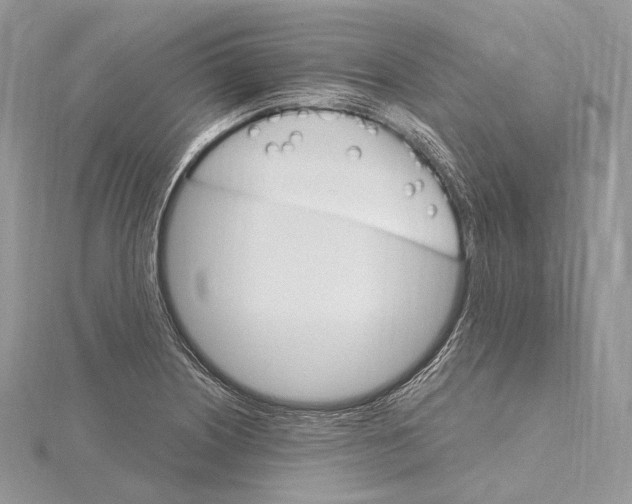 X0000115651226200912081118