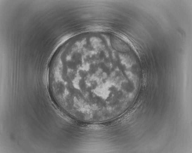 X0000115651227200912081118