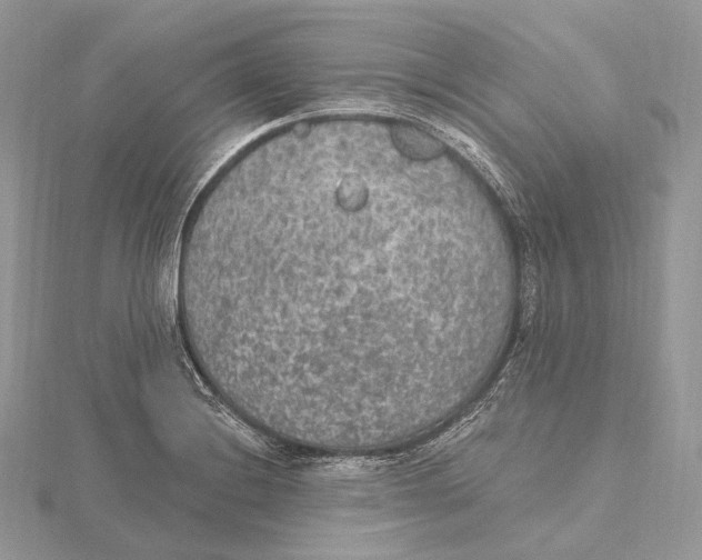 X0000115651228200912081118