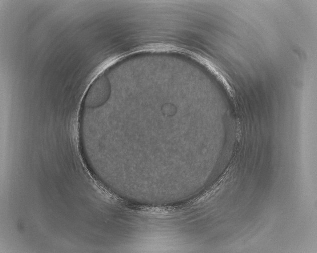 X0000115651229200912081118