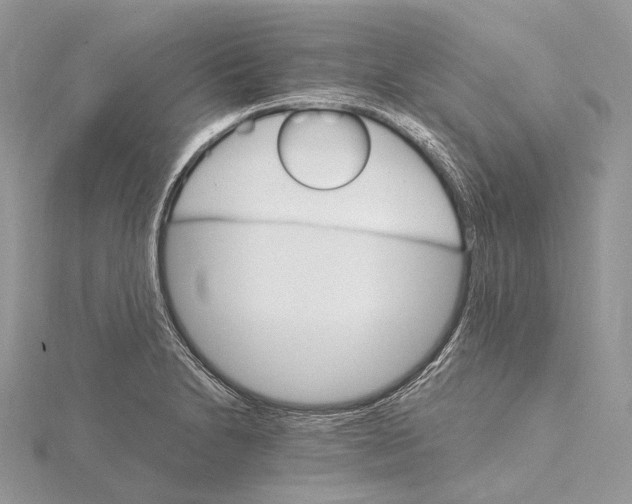 X0000115651230200912081118