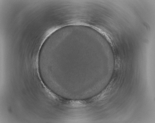 X0000115651231200912081118