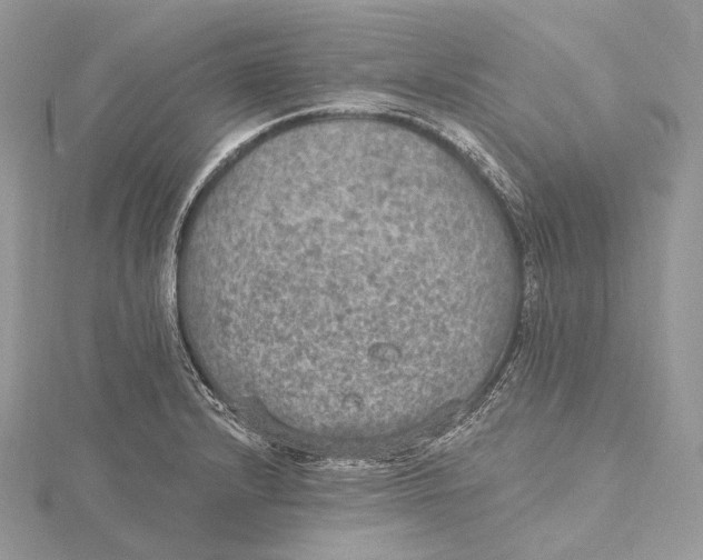 X0000115651232200912081118