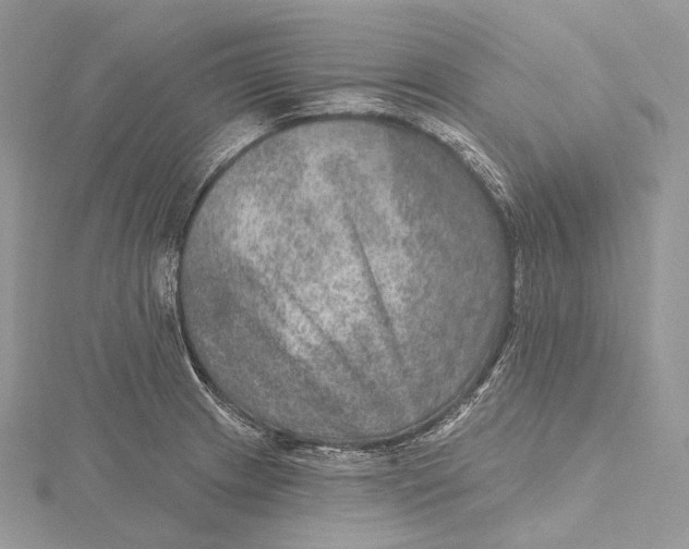 X0000115651233200912081118