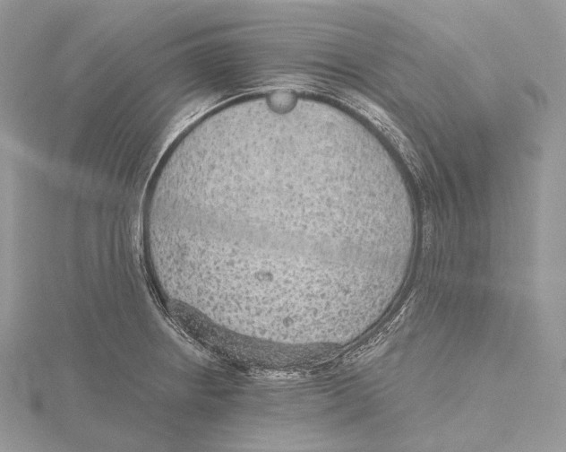 X0000115651234200912081118