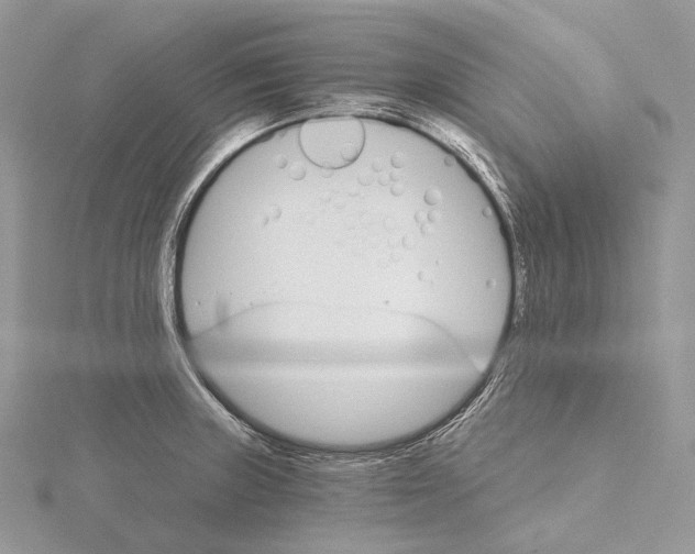 X0000115651235200912081118