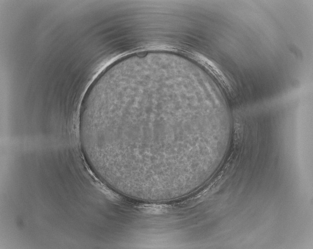 X0000115651236200912081118