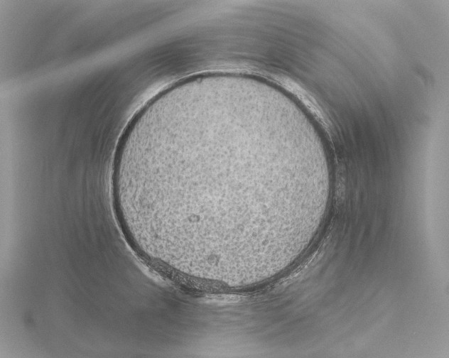 X0000115651237200912081118