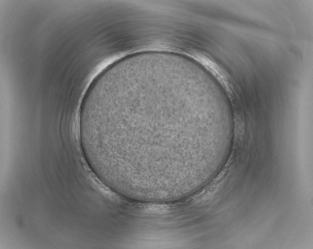 X0000115651238200912081118