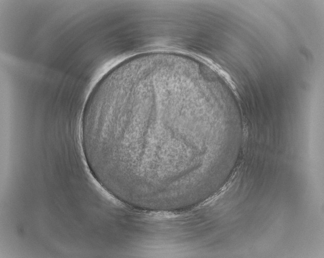 X0000115651239200912081118