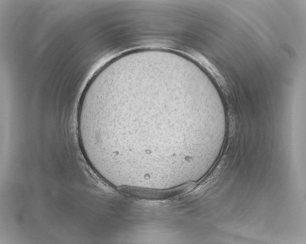 X0000115651240200912081118