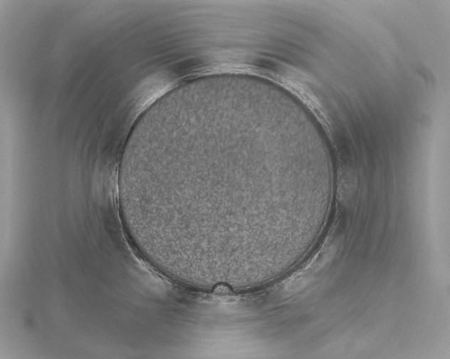 X0000115651241200912081118