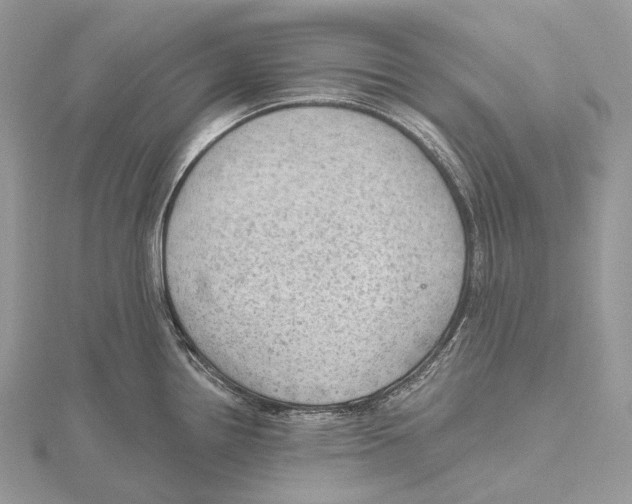 X0000115651242200912081118