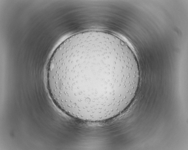 X0000115651243200912081118